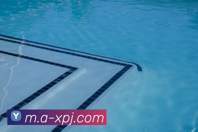 新葡京娱乐平台生态图