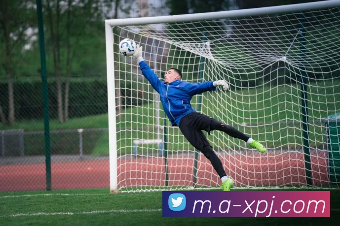 新葡京娱乐APP 封面图